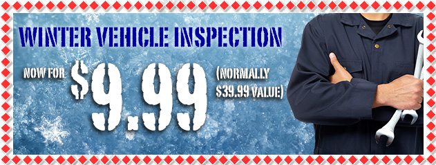 Winter Vehicle Inspection Special